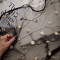 شال بابونه کد:4267